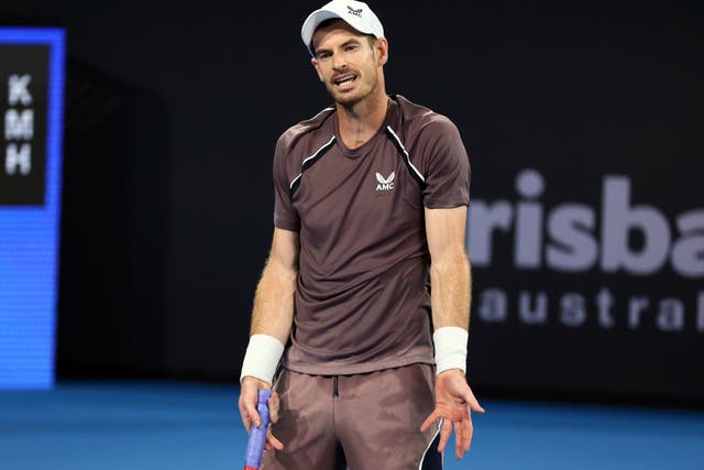 Andy Murray endured frustration in Brisbane (Tertius Pickard/AP)