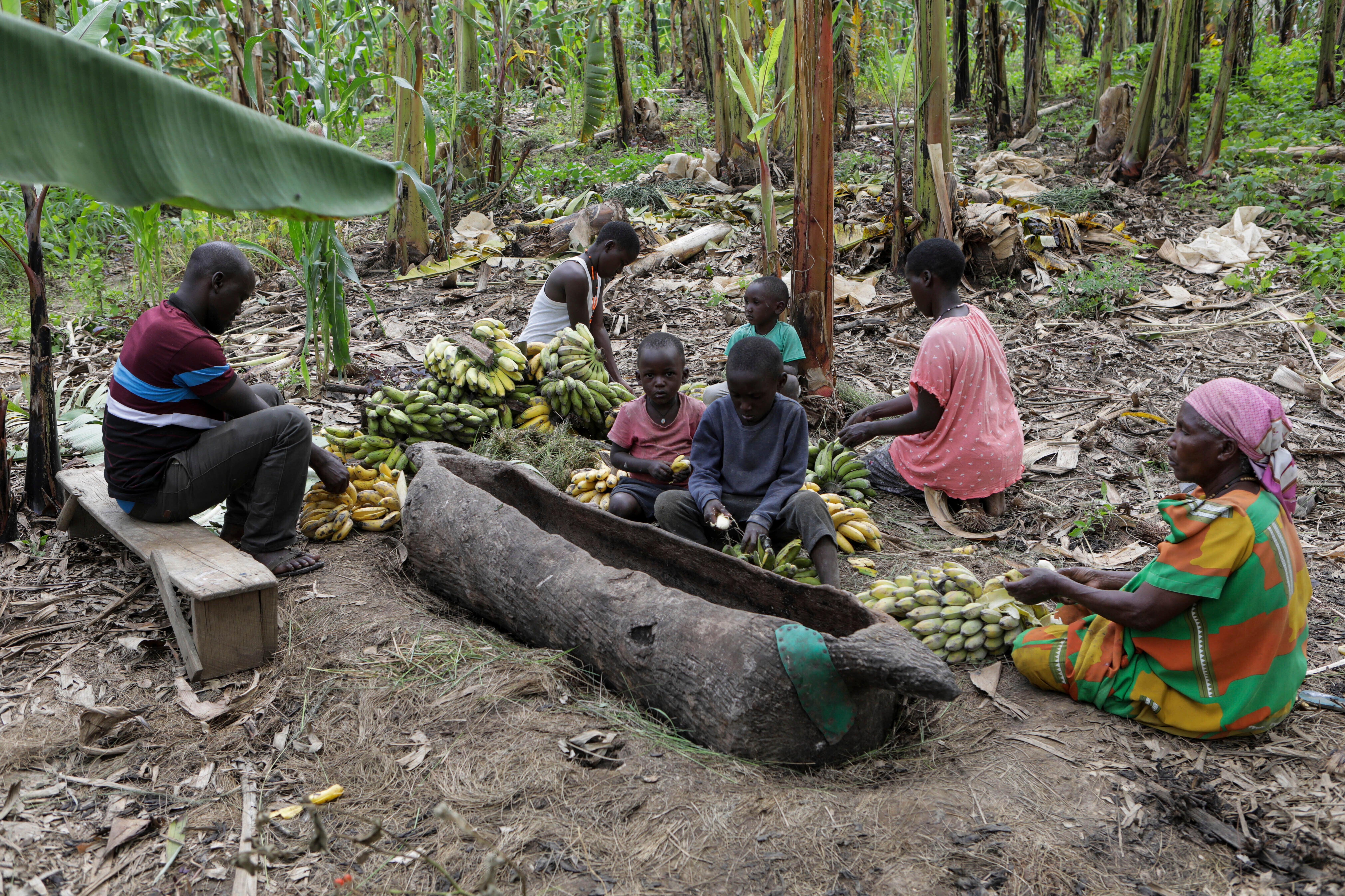 Uganda Home Brew Threatened