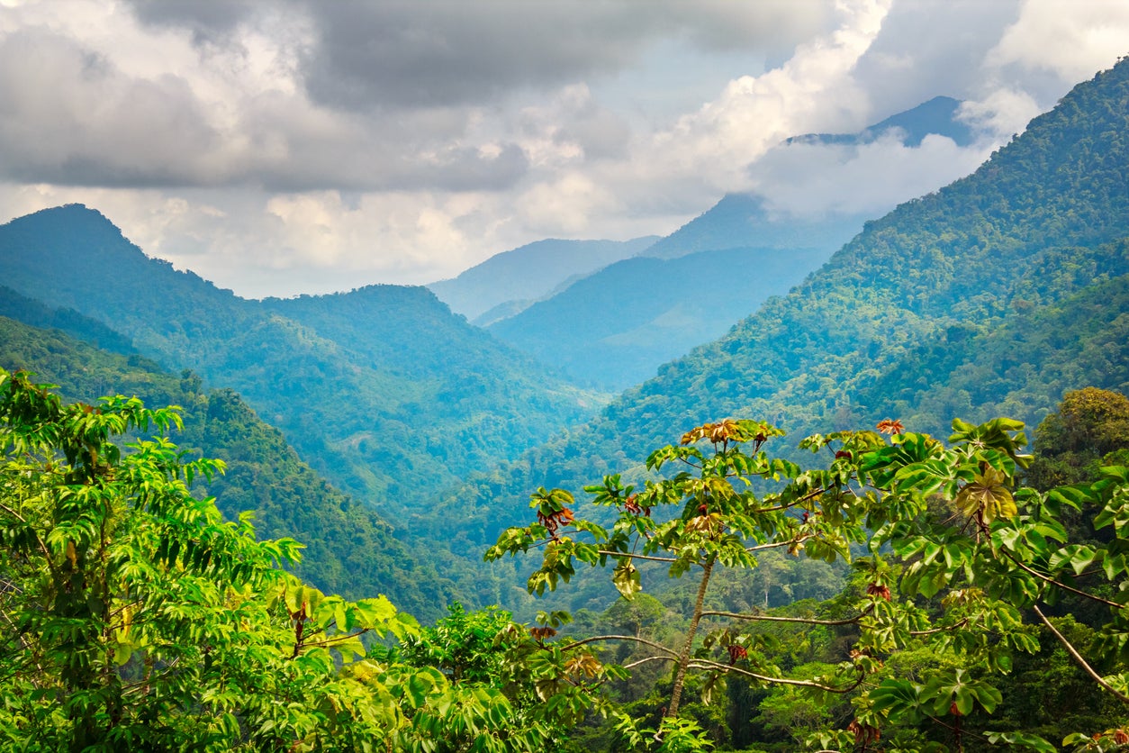Colombia is among the top three most biodiverse countries in the world, alongside Brazil and Indonesia