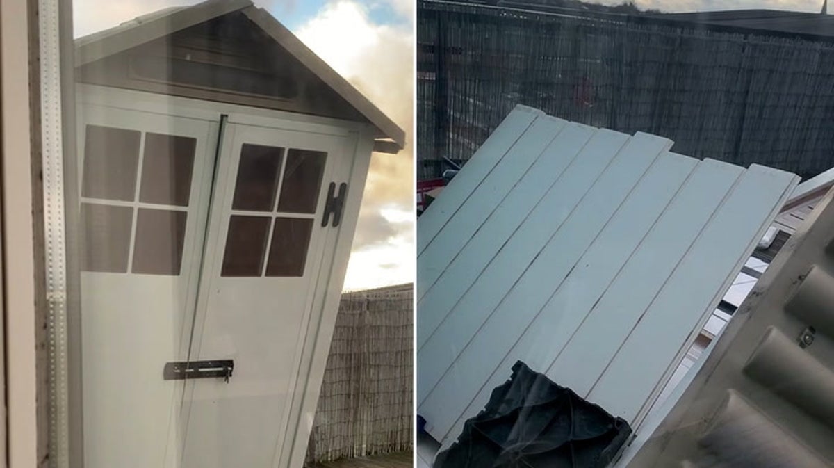 Garden shed collapses as Storm Henk hits London