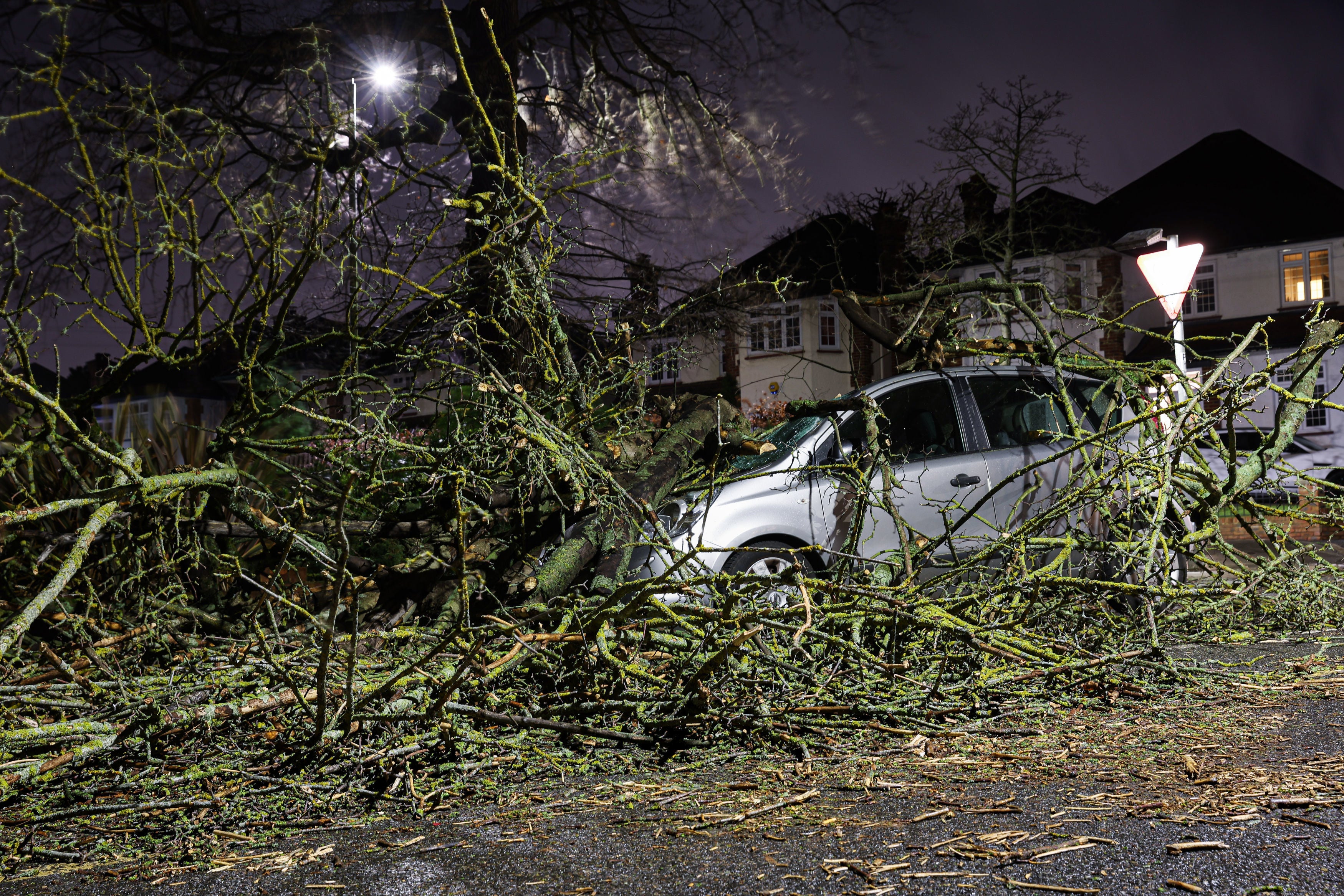 A tree blown over by the wind and landed on a car on Beckenham Grove, Bromley, Kent