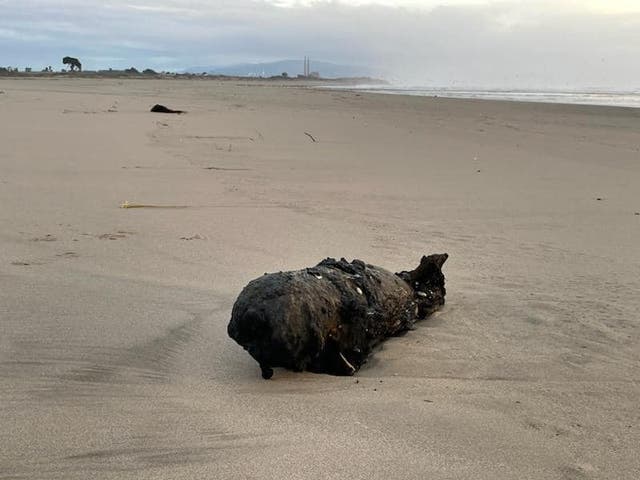 <p>On Sunday, officials with the Santa Cruz County Sheriff’s Office discovered a WW2 Navy practice bomb off the coast of Santa Cruz, Calif. </p>