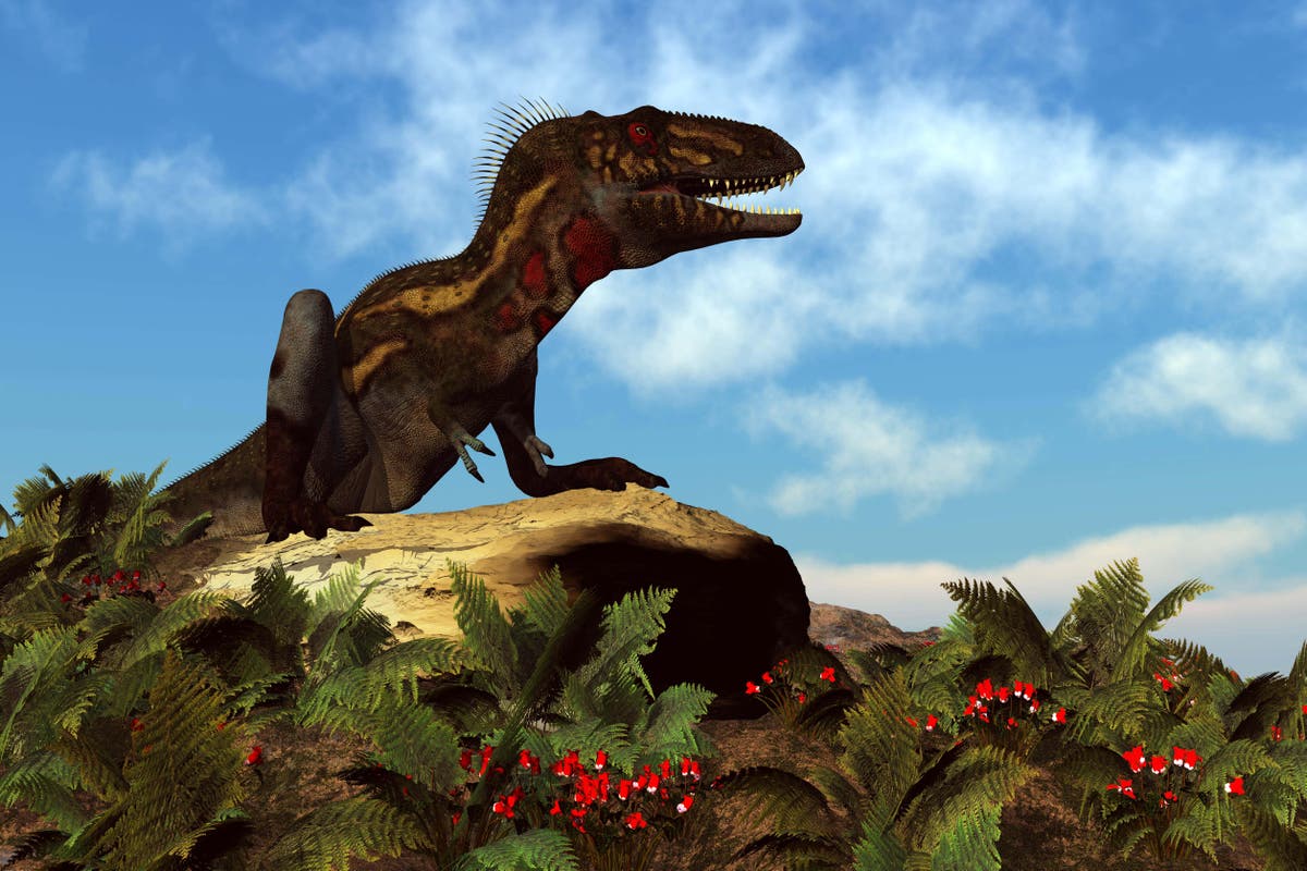 Вкаменелостите на „тийнейджърските T. rex“ са различни хищни, но по-пъргави видове динозаври“