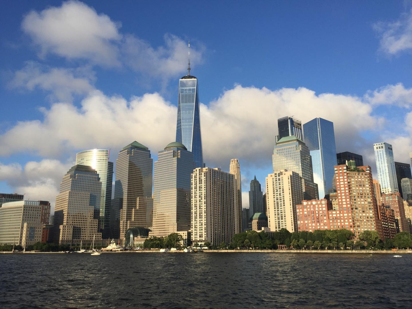 <p>Lower Manhattan, New York City as seen from the New York harbor. Urbanization is increasingly driving the evolution of populations that live in and around cities</p>