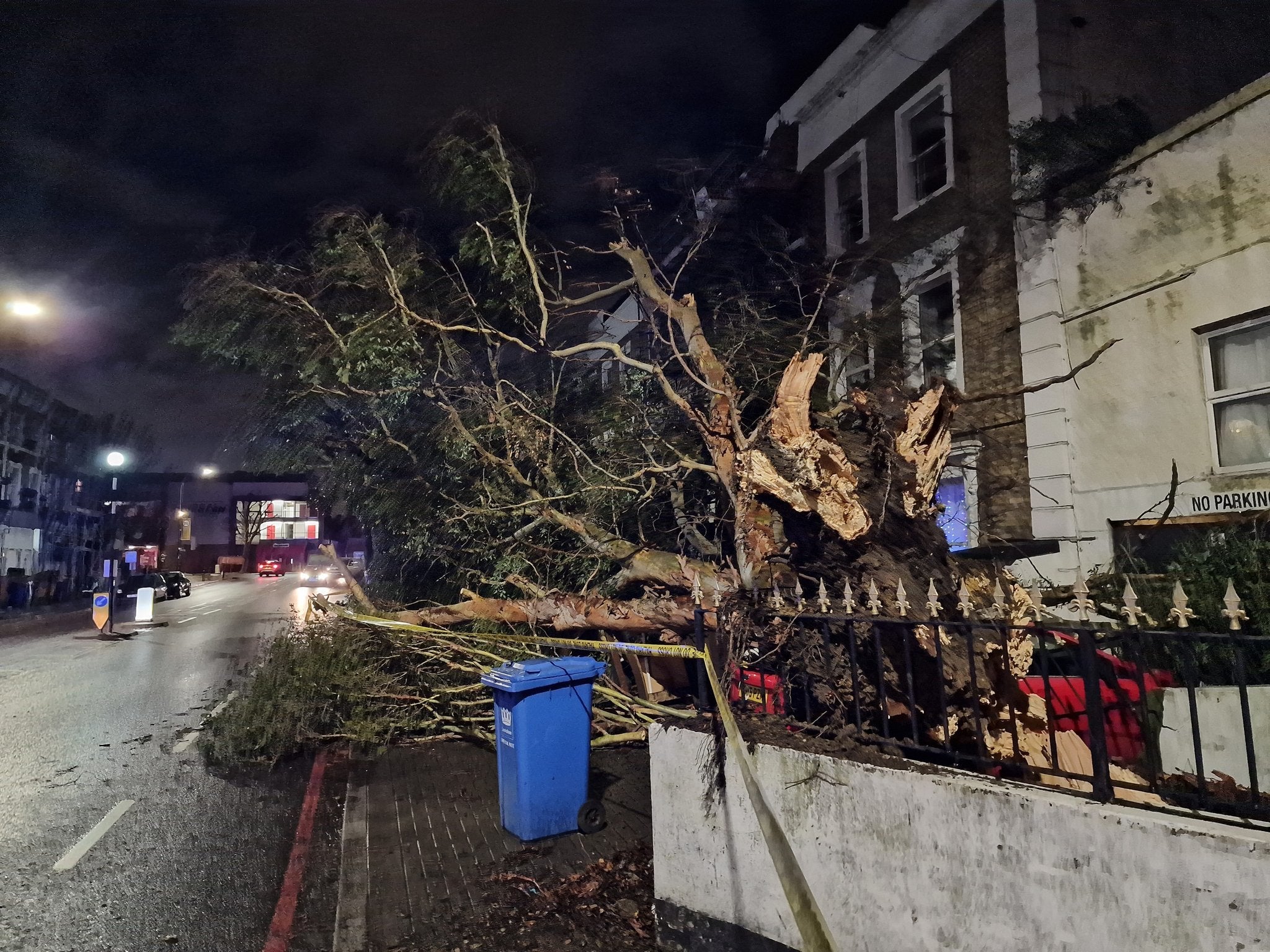 A fallen tree in Forest Hill, London during Storm Henk