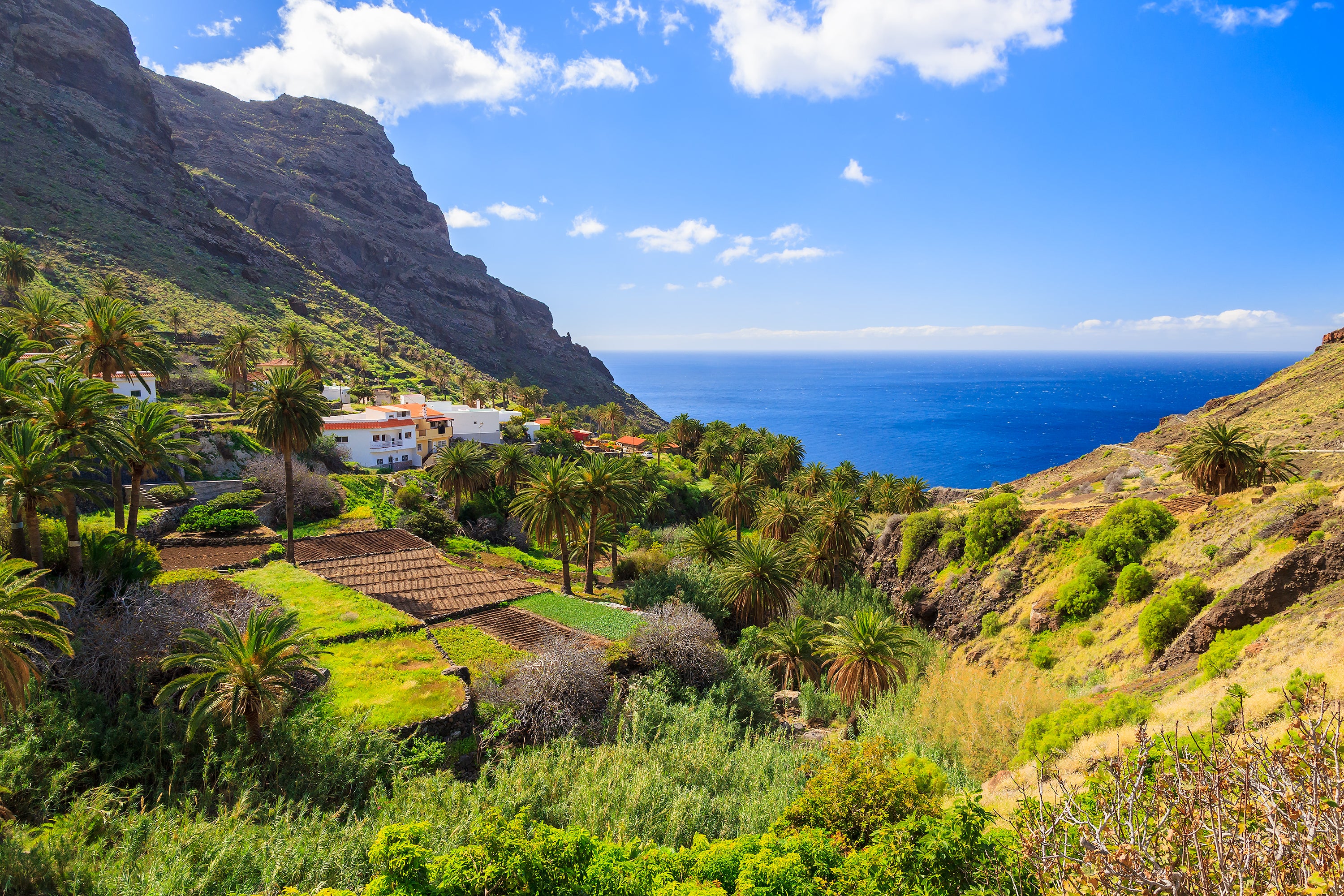 The El Silbo whistling language was developed on La Gomera by farmers communicating across its steep ravines