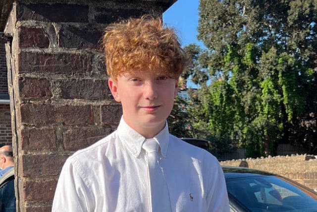 <p>Harry Pitman, 16, died after what police described as “an altercation” as crowds gathered in Primrose Hill, Camden, north London, to watch the display</p>