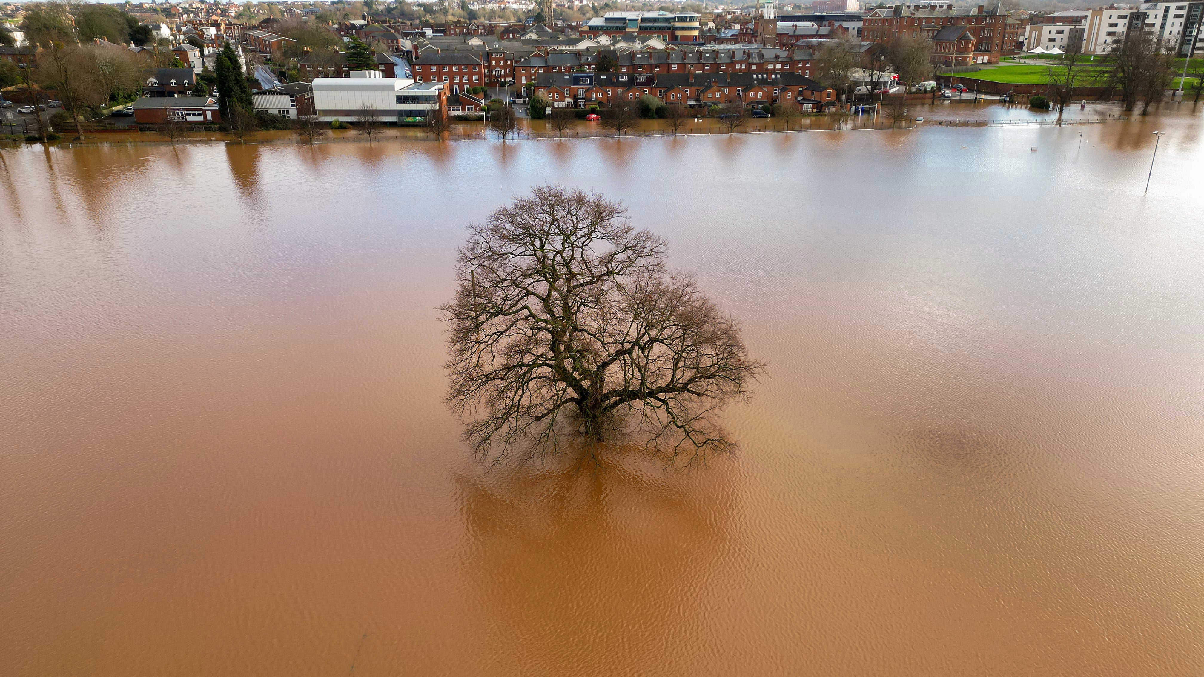 pA solitary tree stands above flood water in Worcester after the River Severn burst its banks during Storm Henk/p