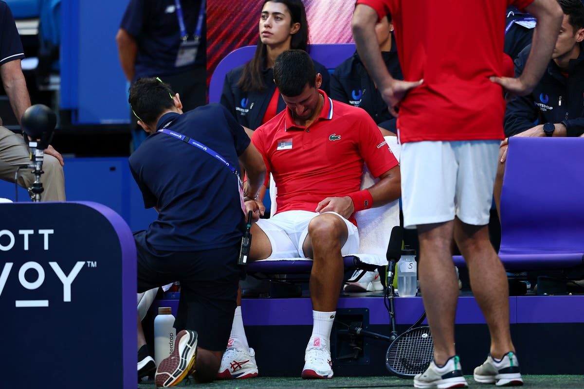 Novak Djokovic confident over Australian Open fitness despite wrist injury scare