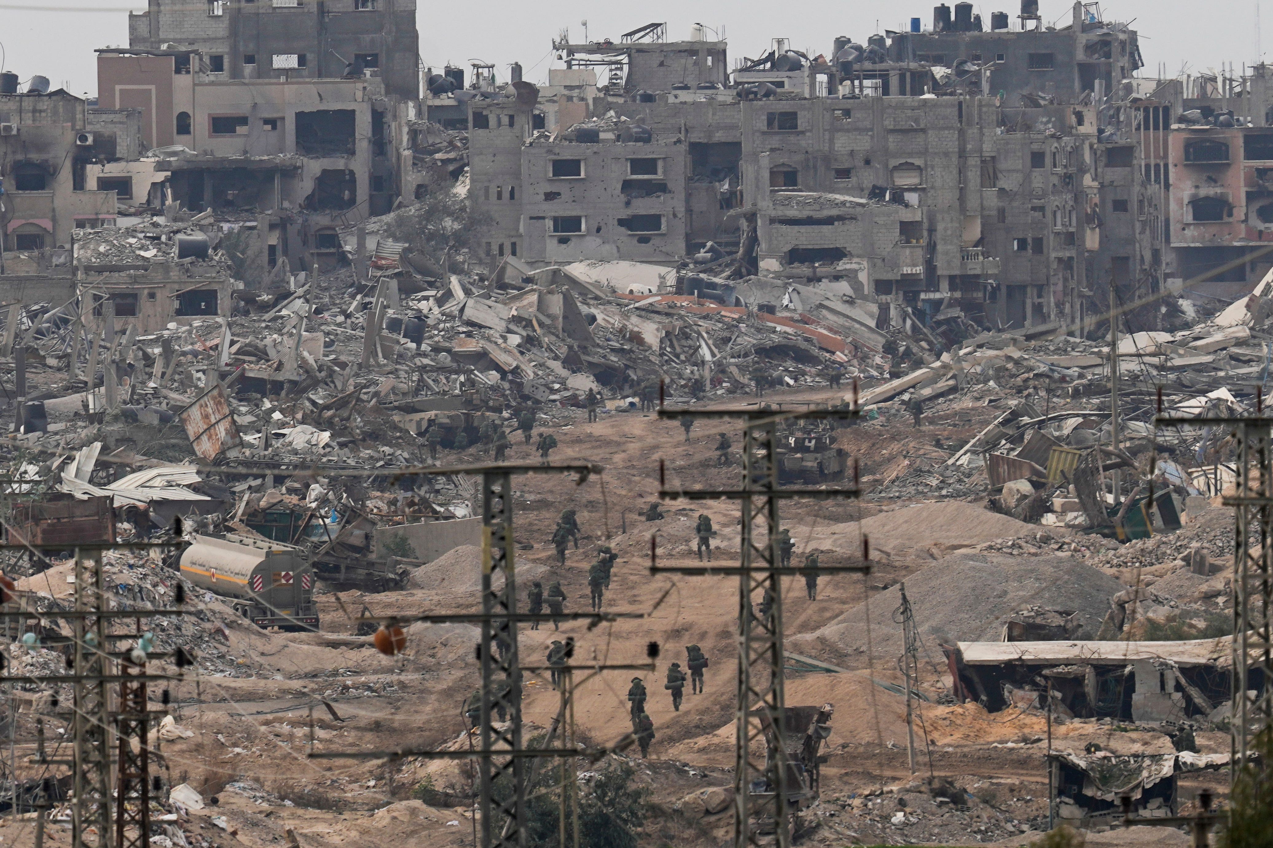 Many animals have been left to wander the rubble as fighting prevents them being rescued (Ohad Zwigenberg/AP)