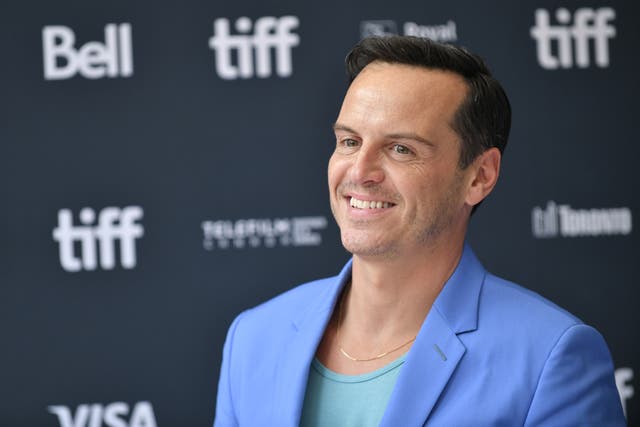 <p>To thine own self, be well behaved: Andrew Scott was staggered at one audience member’s behaviour during ‘Hamlet’ </p>
