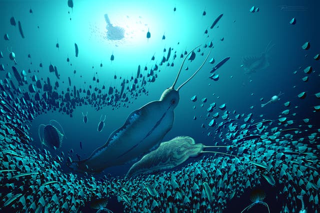 An artist’s impression of what Timorebestia may have looked like in the oceans more than 518 million years ago (Bob Nicholls/University of Bristol)