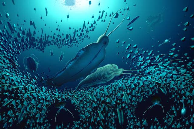 <p>A reconstruction of the pelagic ecosystem and the organisms fossilised in Sirius Passet, revealing how Timorebestia was one of the largest predators in the water column more than 518 million years ago</p>