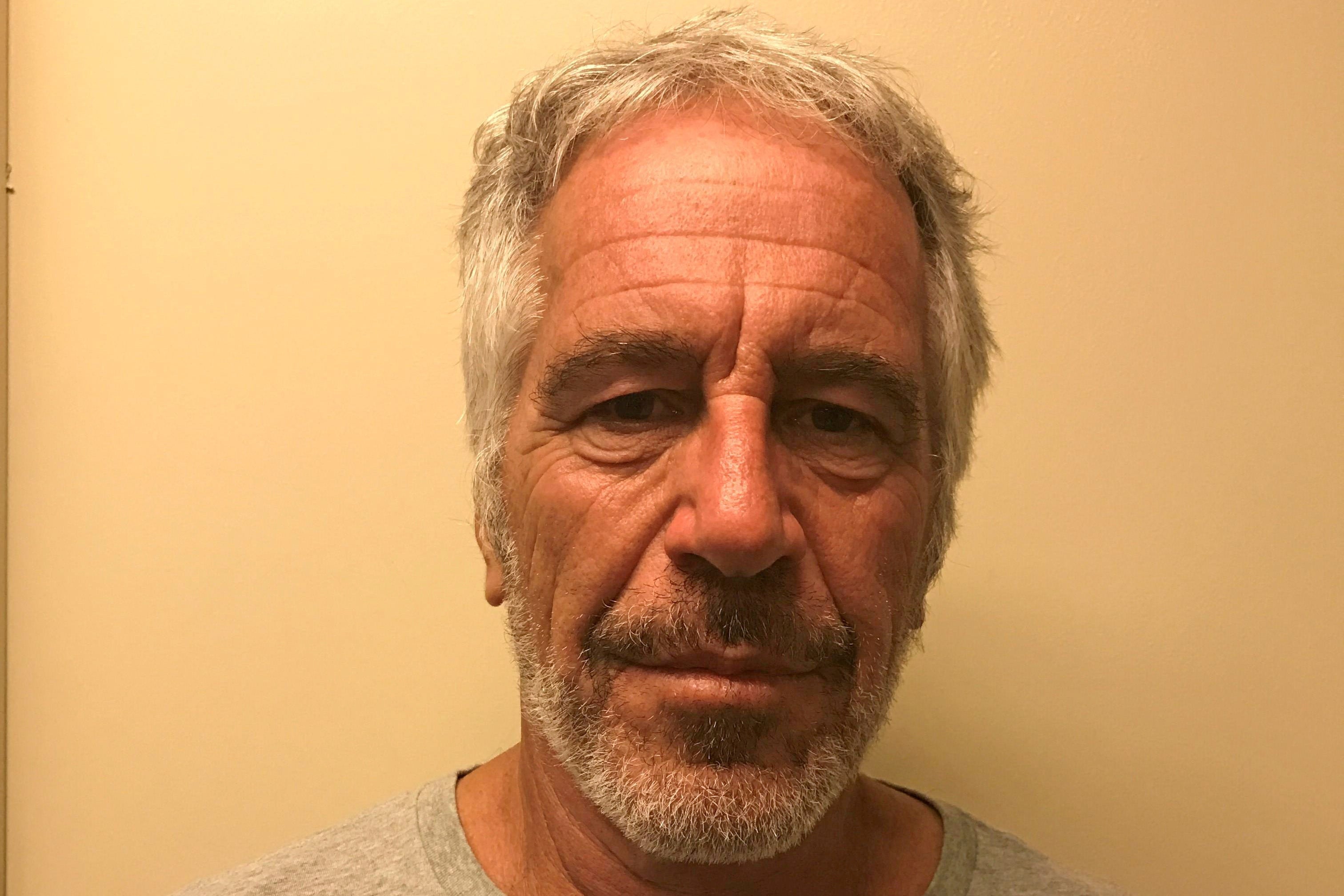 A judge ordered for the documents relating to Epstein (pictured) to be released last month