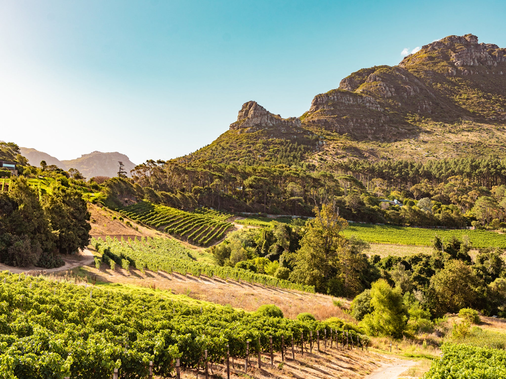 With myriad climates and soil types, South Africa produces some of the finest wines in the world