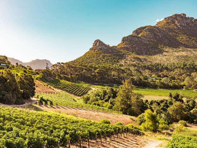 <p>With myriad climates and soil types, South Africa produces some of the finest wines in the world </p>