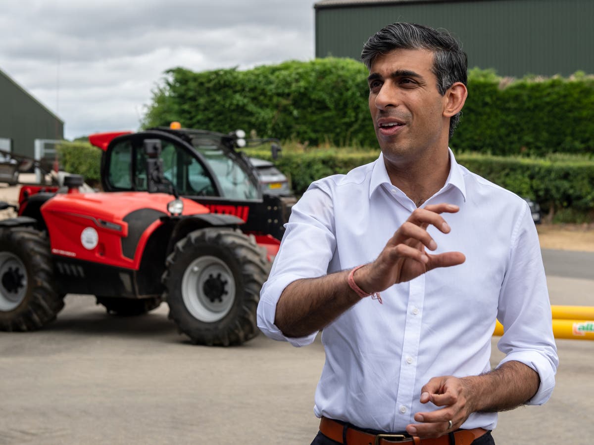 Post-Brexit subsidy scheme leaves UK farmers ‘hugely frustrated’