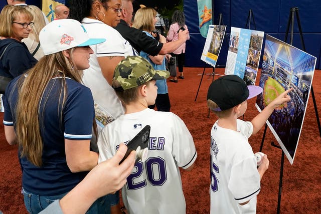 Rays Ballpark Baseball