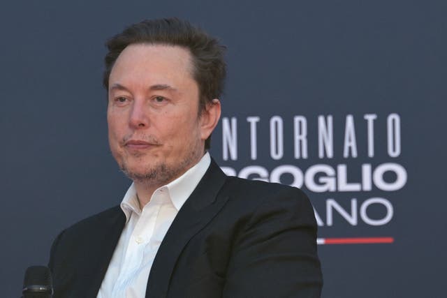 <p> Elon Musk attends the Atreju political meeting organised by Italian right wing party Brothers of Italy in December 2023</p>
