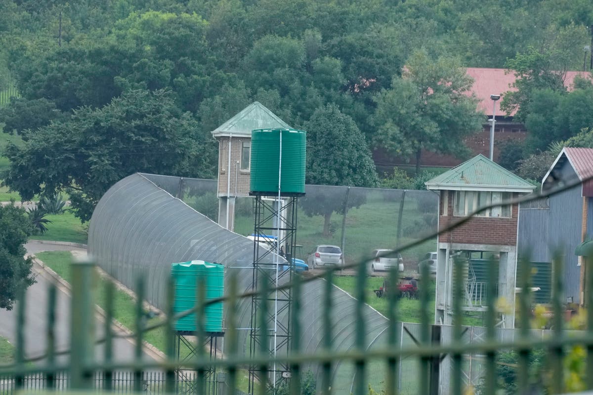 Oscar Pistorius walks free from prison 11 years after killing girlfriend