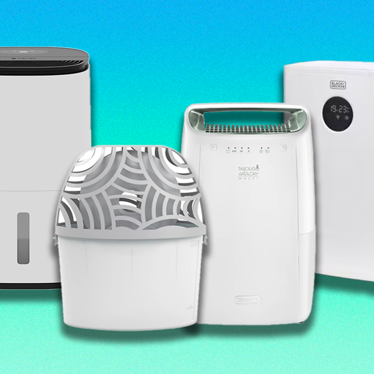 Best dehumidifiers 2024 to fight mould, dust and damp this winter