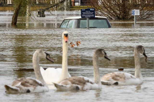 <p>File image: Swans swim past a submerged car in a car park in January in Wallingford, United Kingdom.  More rain is set to fall on saturated grounds this week prompting flooding concerns  </p>