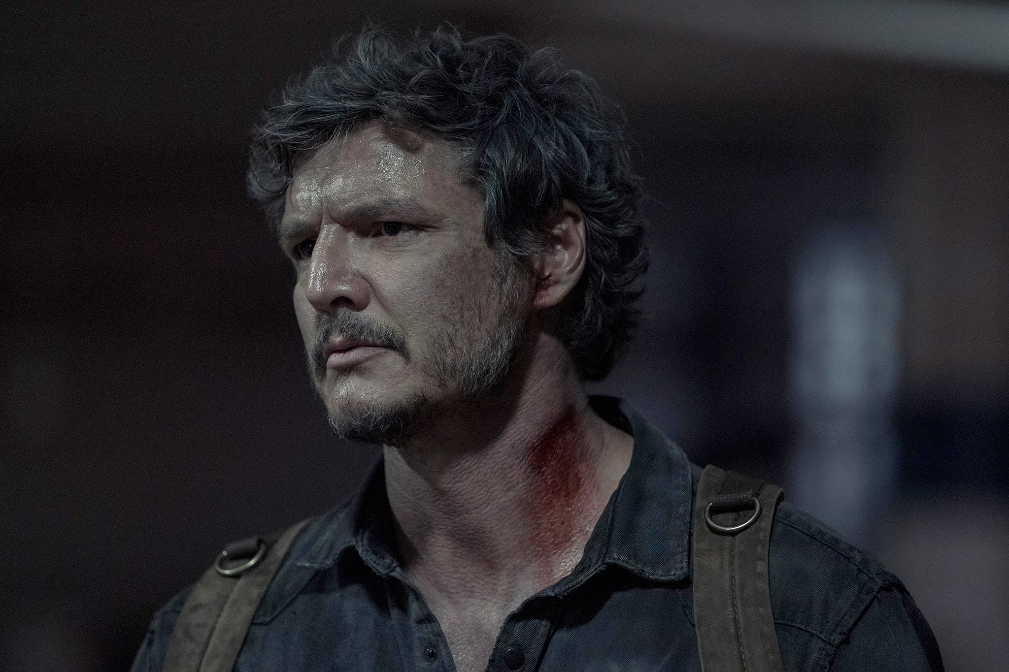 The best of them? Pedro Pascal could take home gold for ‘The Last of Us’