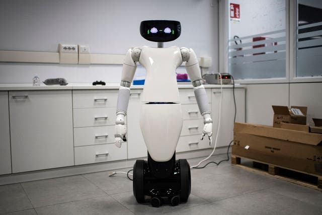 <p>Robots have already vastly transformed the way we think about housework – and are likely to do so even more dramatically in the years to come</p>