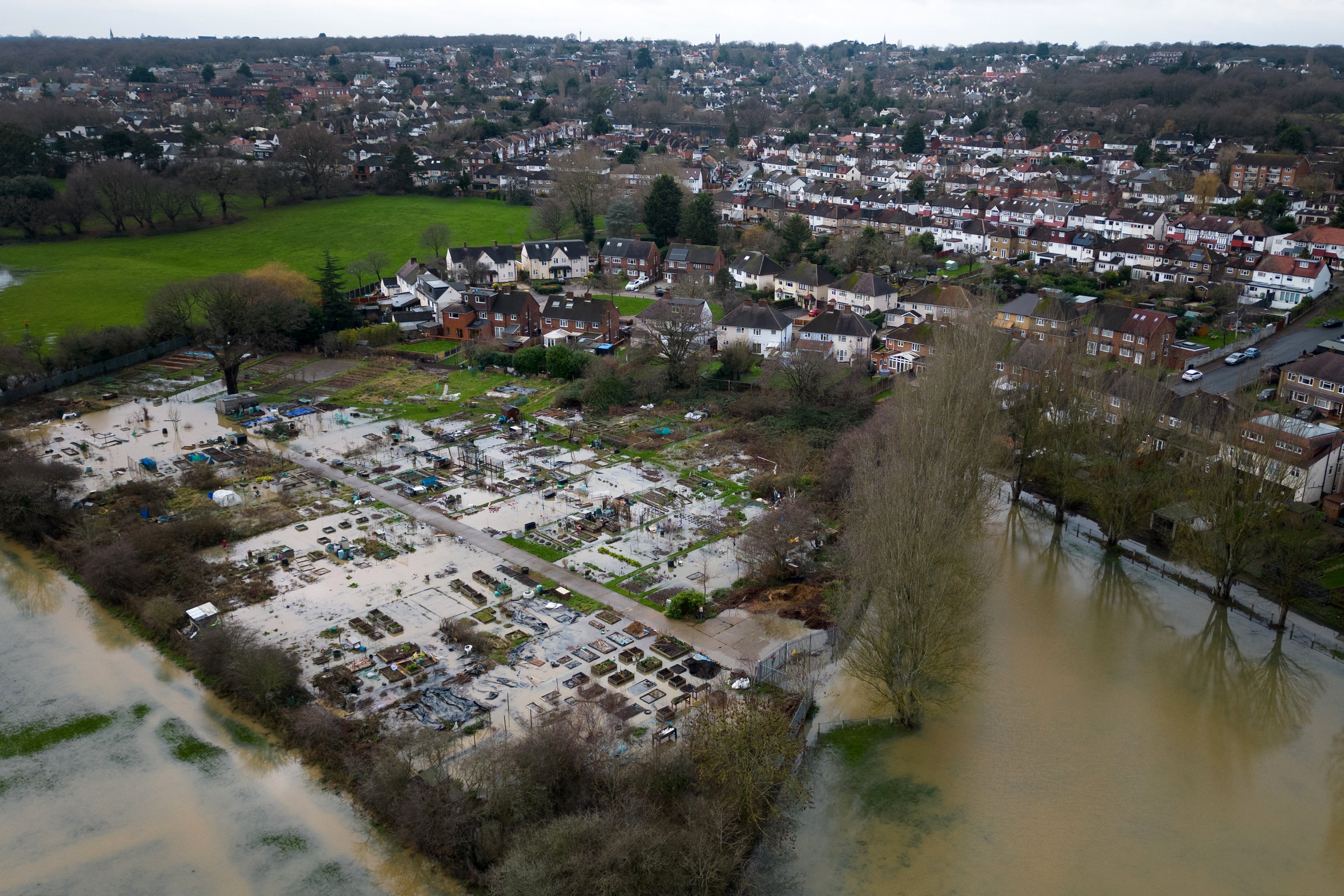 A flooded allotment in Buckhurst Hill, Essex