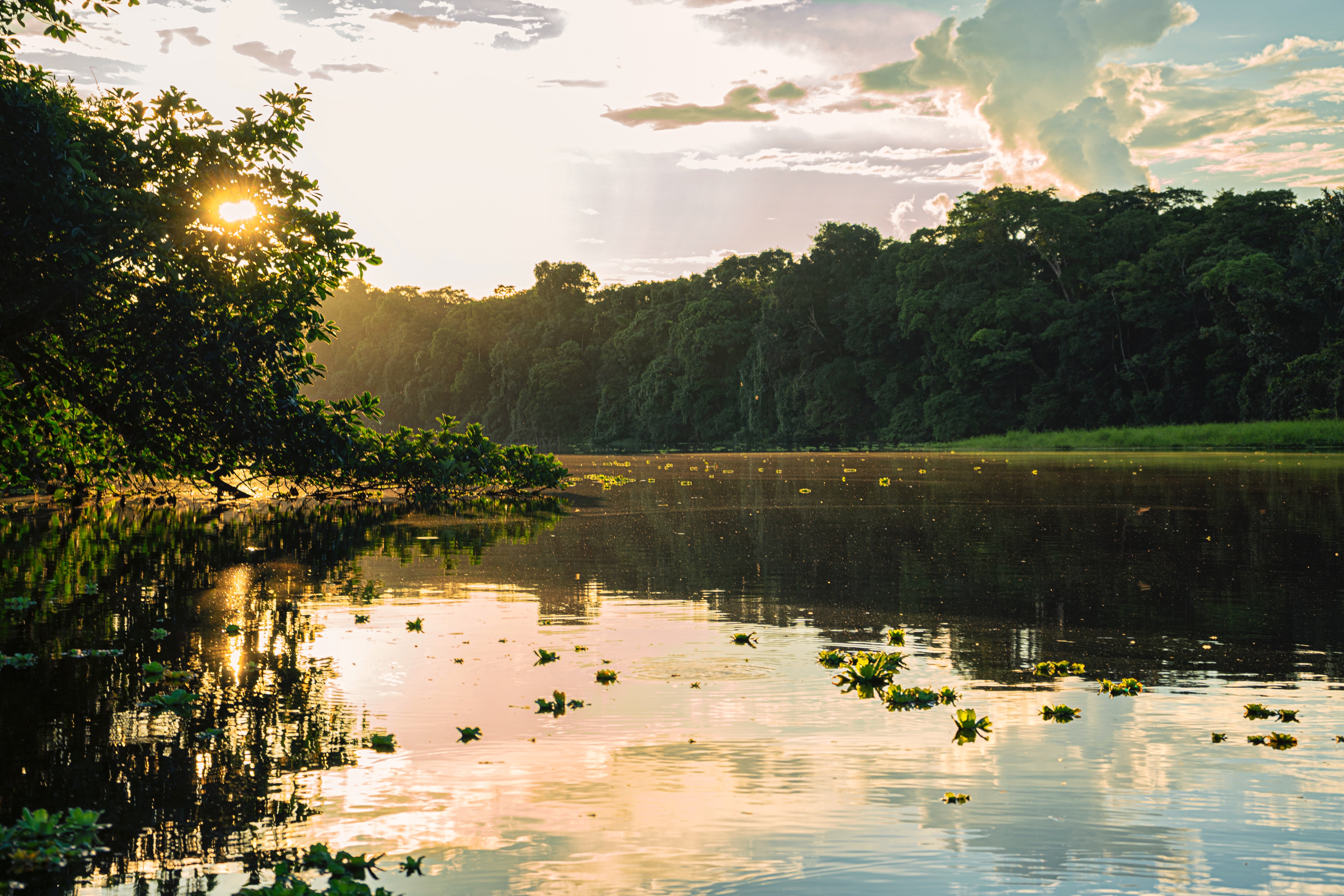 The Amazon is home to various lakes, such as Nueva Loja