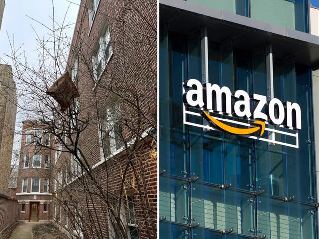 <p>The Amazon package was stuck in a tree outside Heather Rowland’s apartment</p>