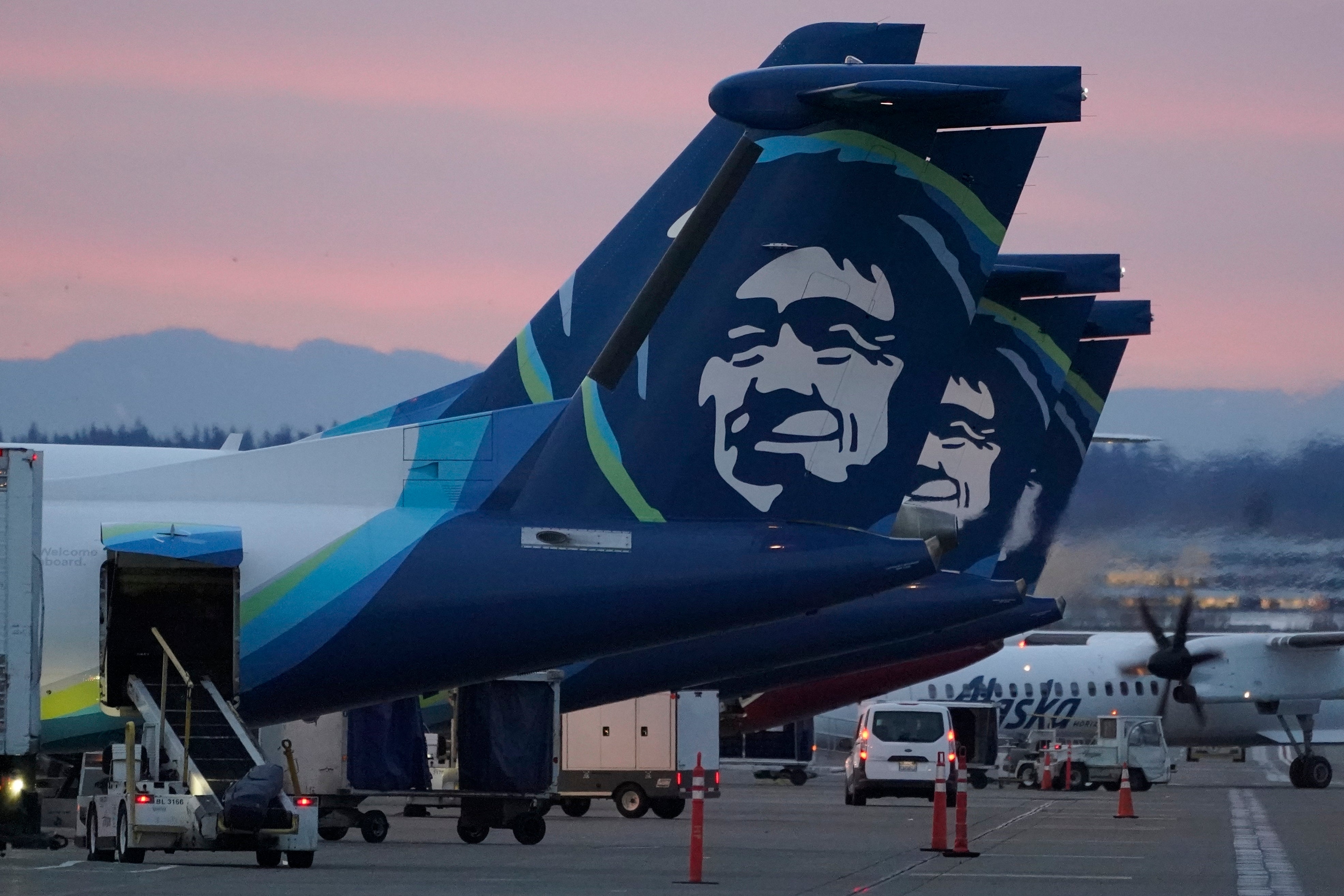 The new MAX 9 was delivered to Alaska Airlines in late October and certified in early November (file photo)