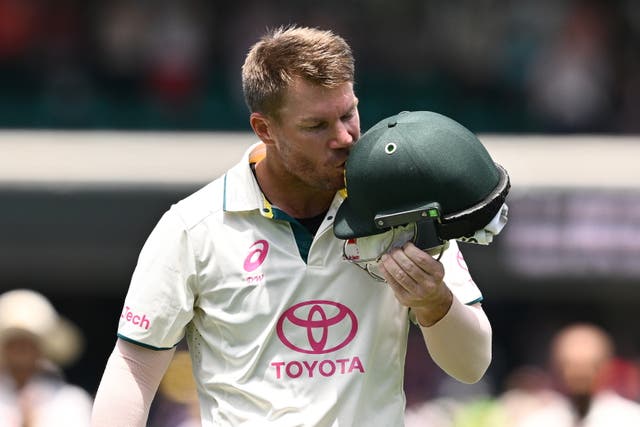 <p>David Warner finished his Test career in style </p>