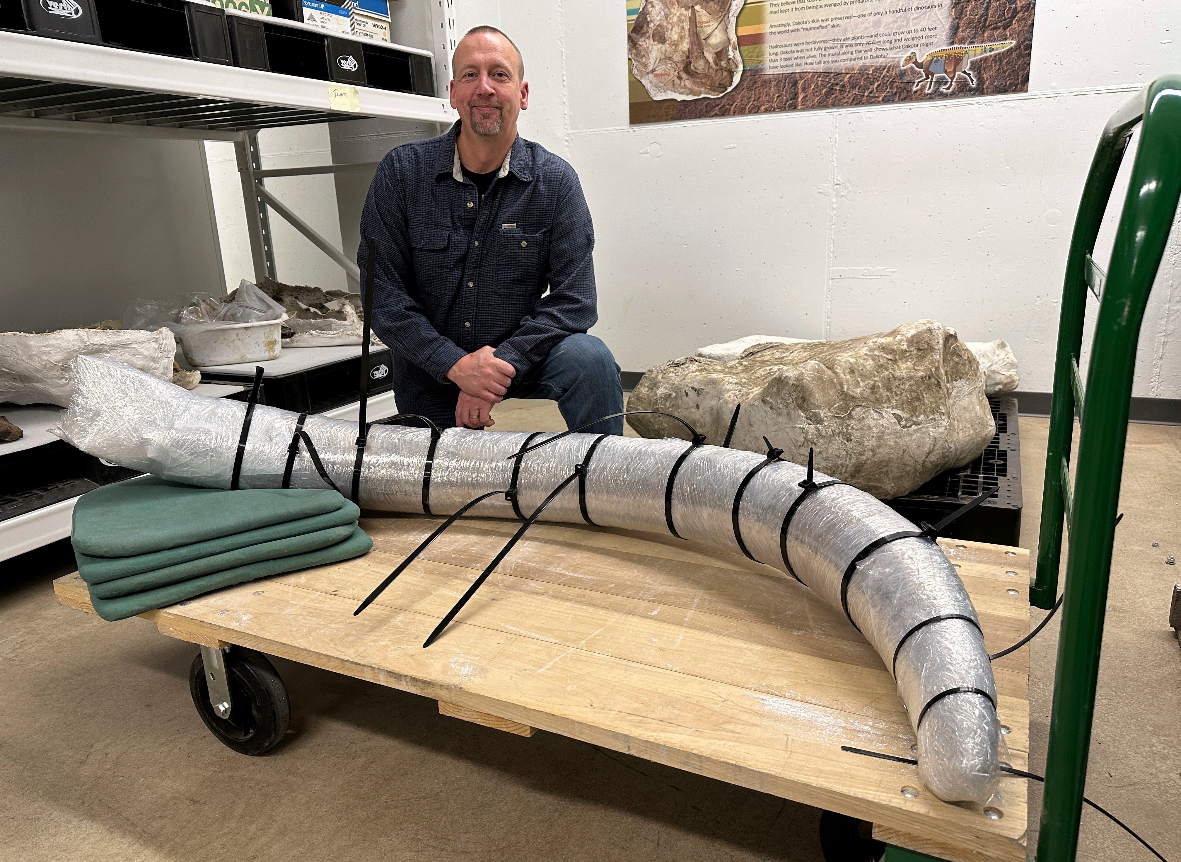 Mammoth Tusk Discovery