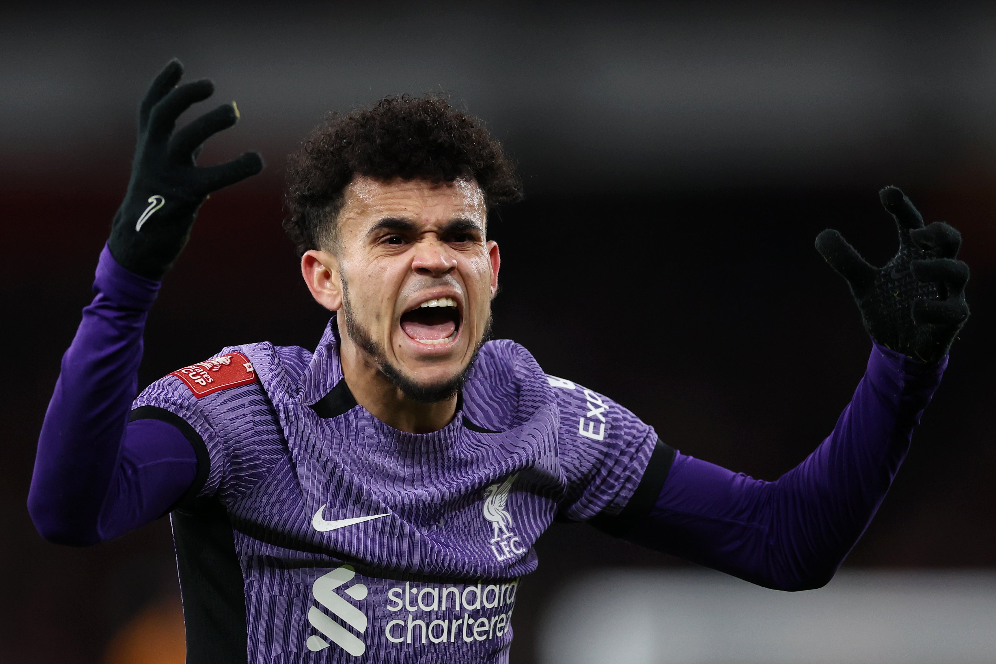 Diaz celebrates his goal at the Emirates as Liverpool progressed