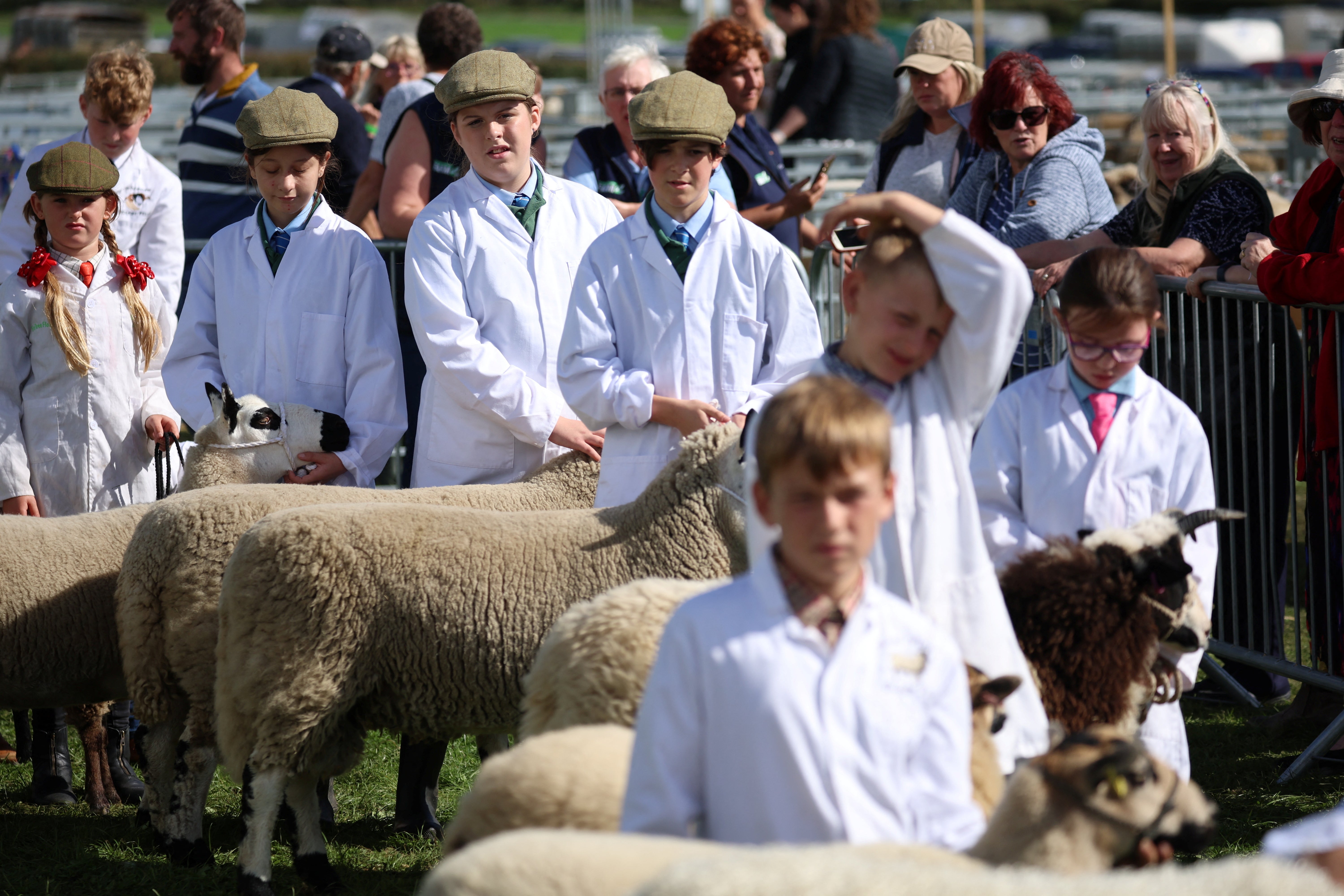 Pupils Megan, Abbie and Corey wait for the judge to deliver his results as they compete in the Young Handlers class at the Westmorland County Show