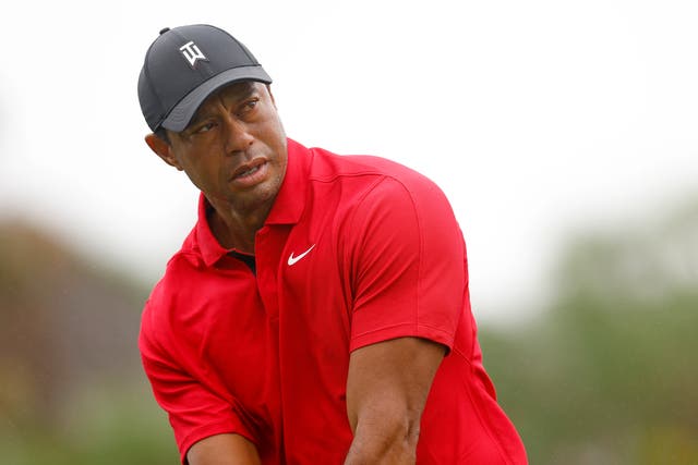 <p>Tiger Woods has been sponsored by Nike throughout his career </p>