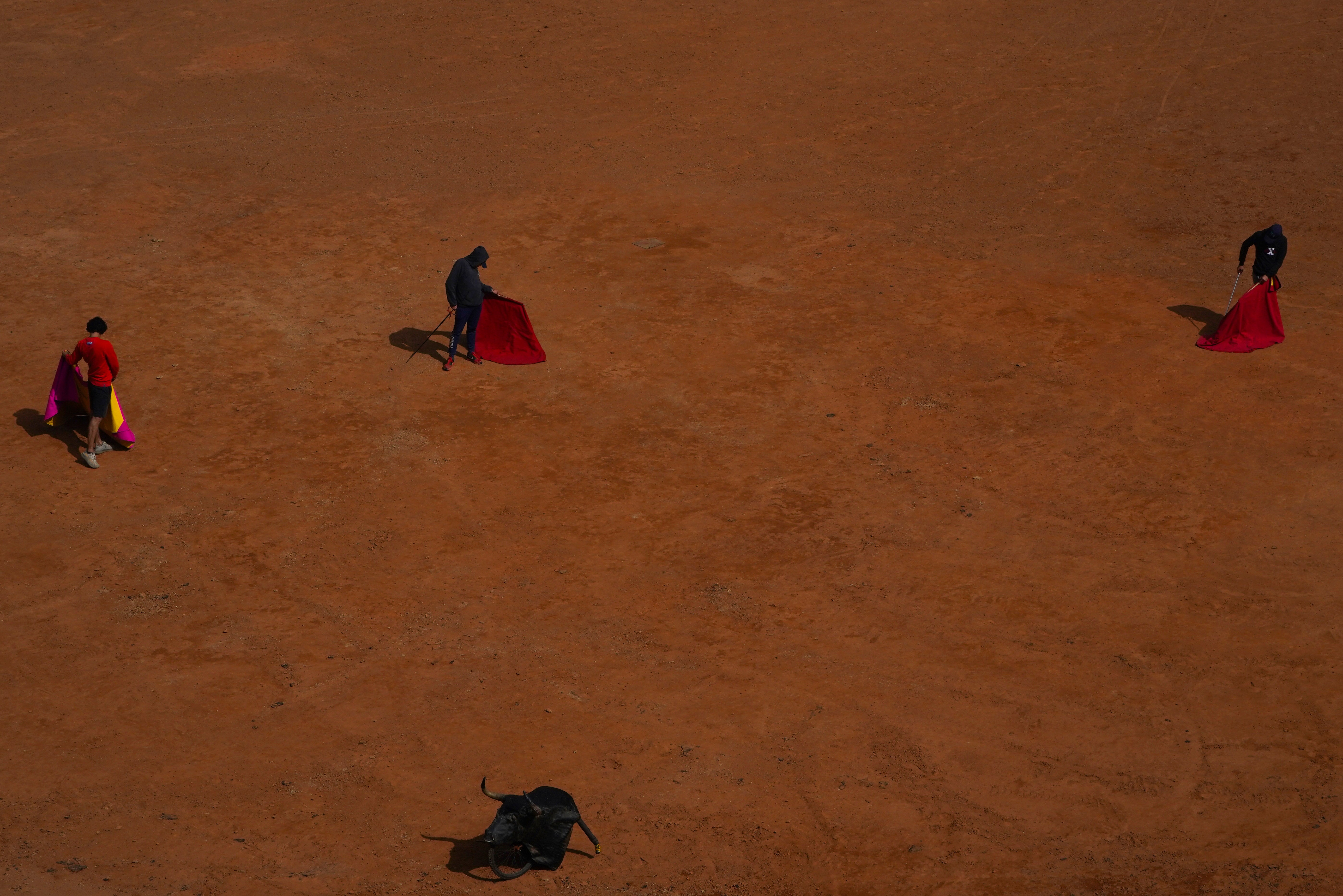 APTOPIX Mexico Bullfighting Returns