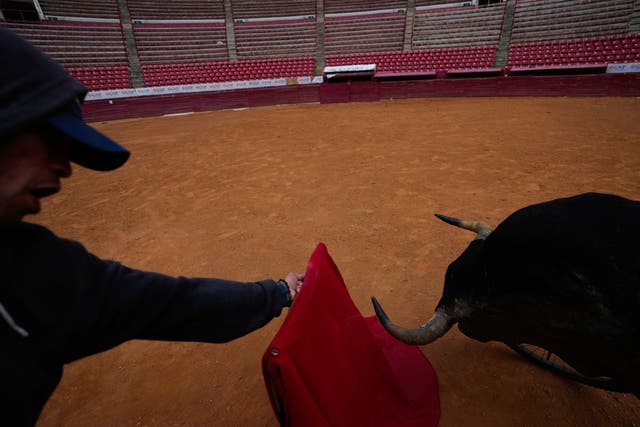 Mexico Bullfighting Returns