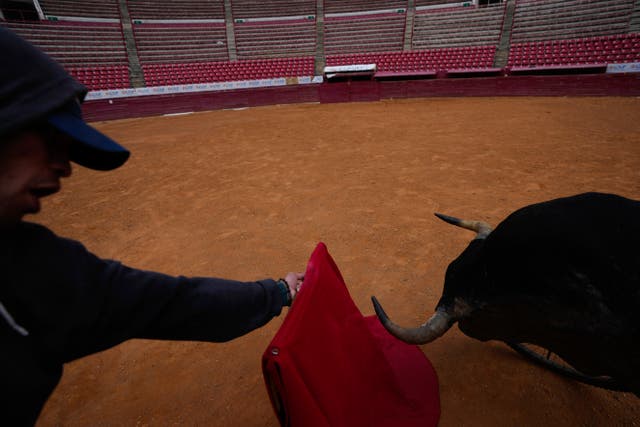 Mexico Bullfighting Returns