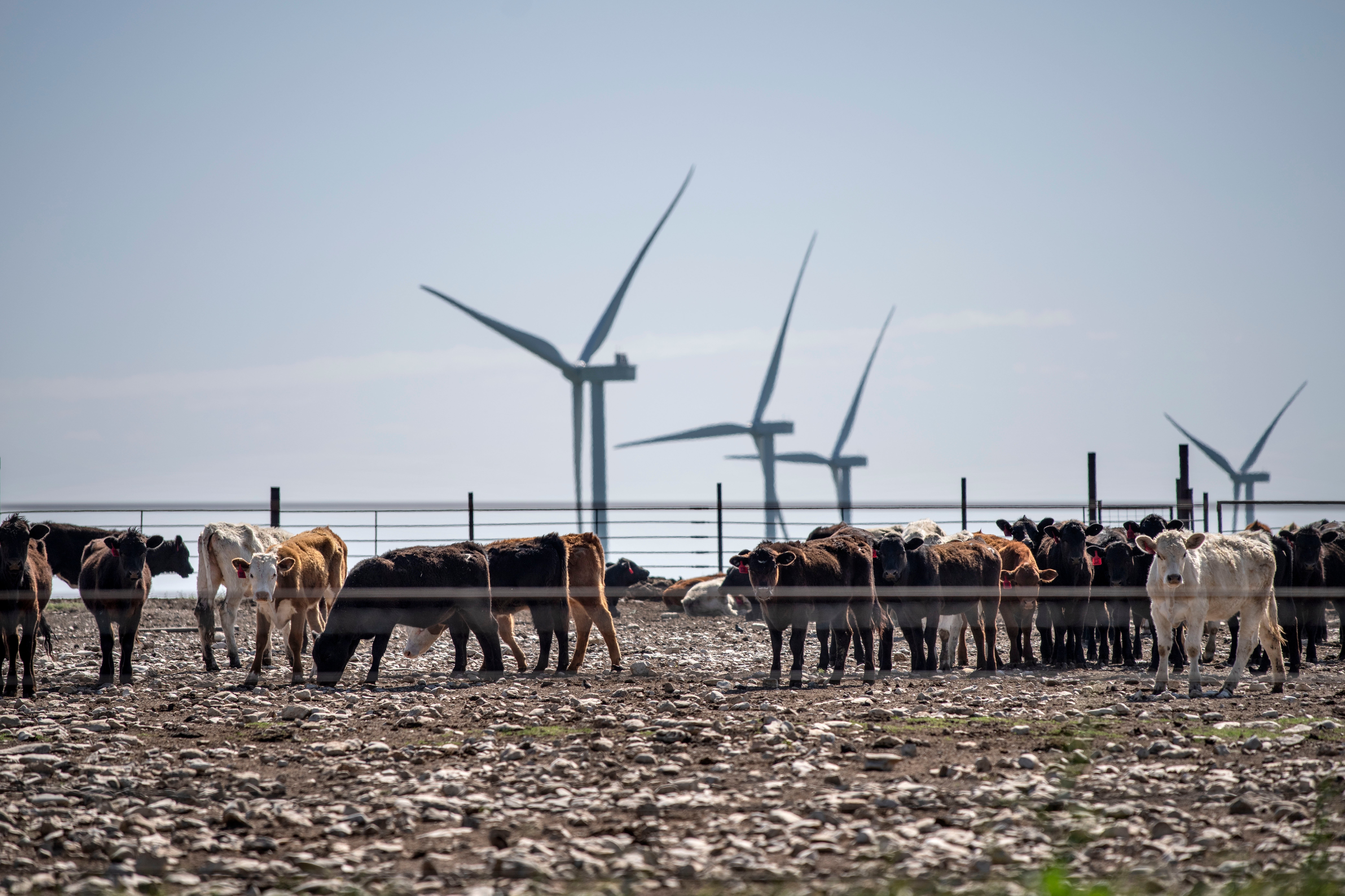 Hottest Year Solutions