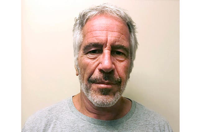 <p>This photo provided by the New York State Sex Offender Registry shows Jeffrey Epstein, 28 March 2017 </p>