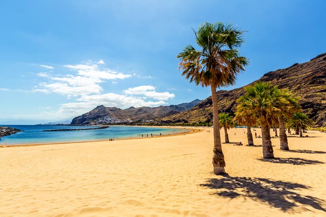 <p>Tenerife’s coastlines mix golden sands with black volcanic beaches </p>