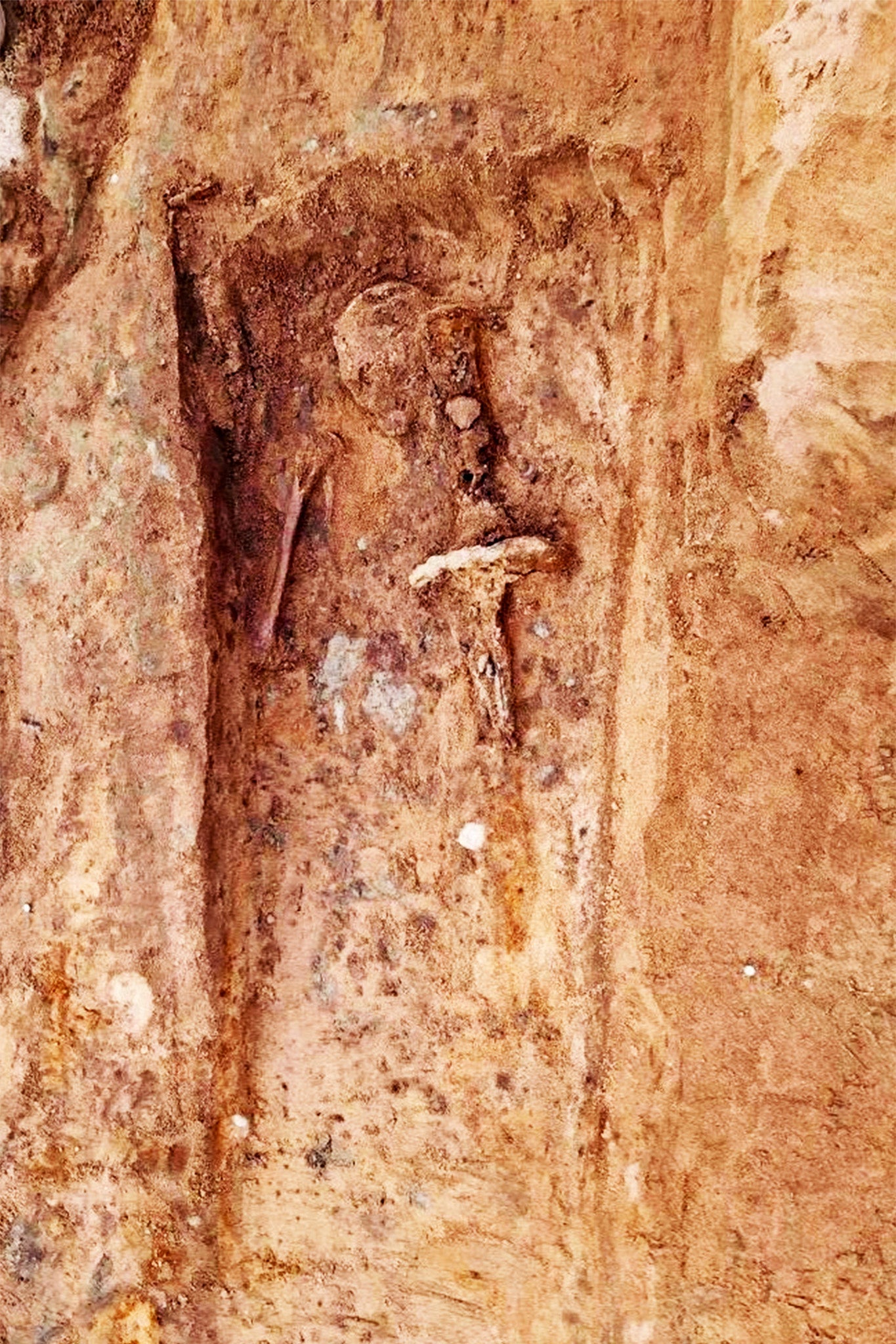 Photo of the grave where the sword was found, here during excavation. The buried man’s skull and upper arm are visible in the image. The sword was placed on his left side where the hilt is preserved