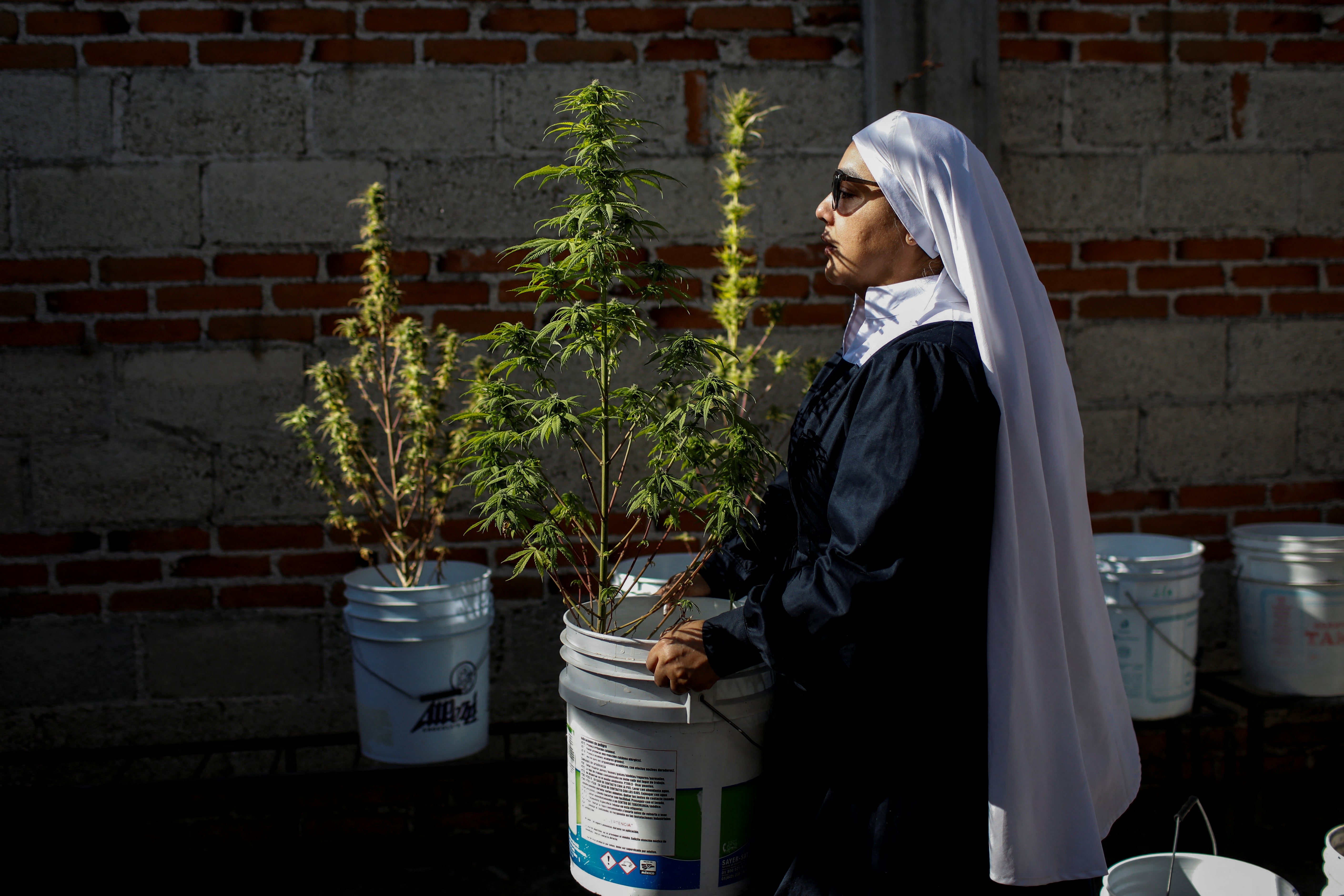 The nuns pot plants in old paint buckets and place them in rows between four unfinished concrete walls on a rooftop