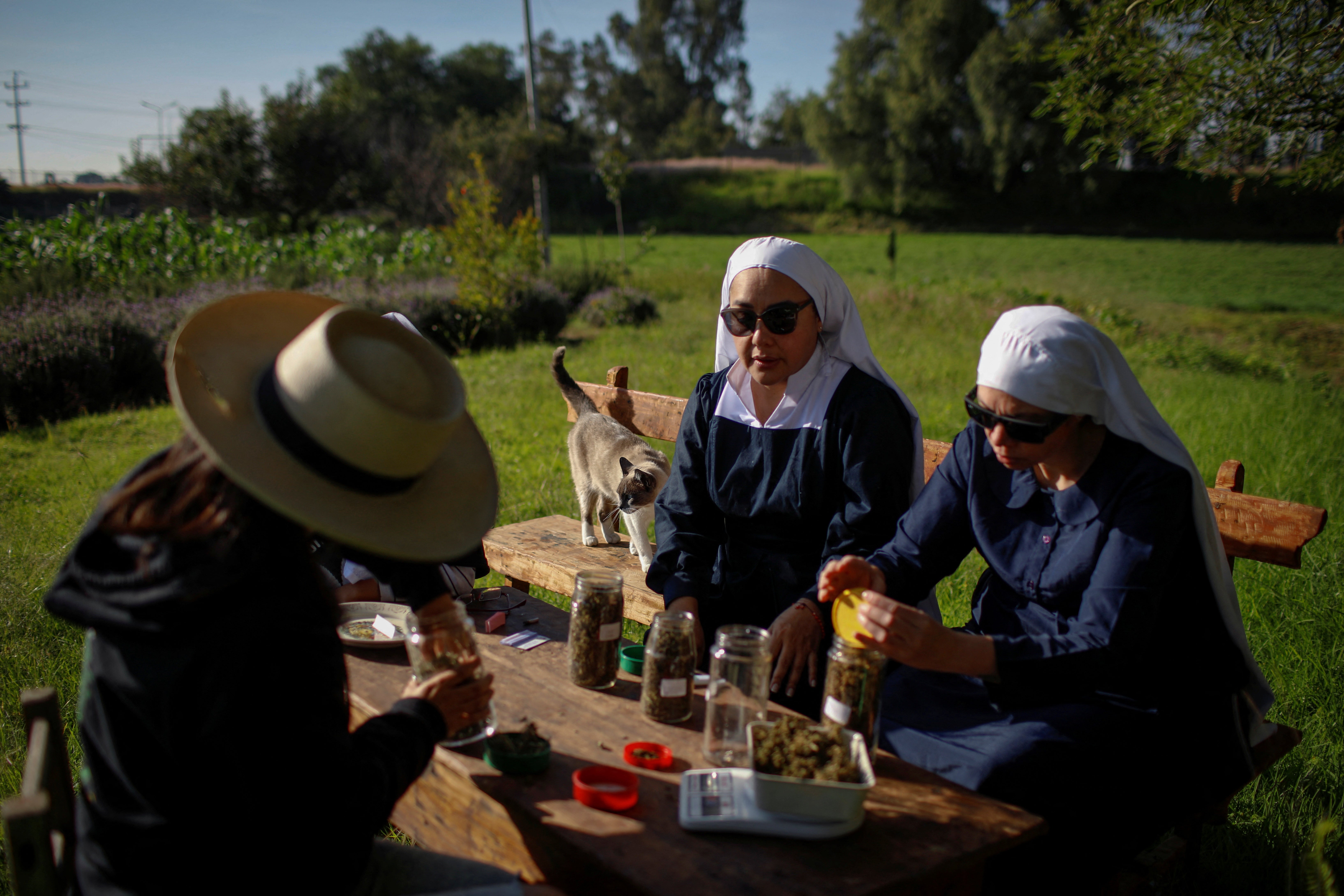 A chemist and marijuana researcher (left) works with the group to weigh and store hemp