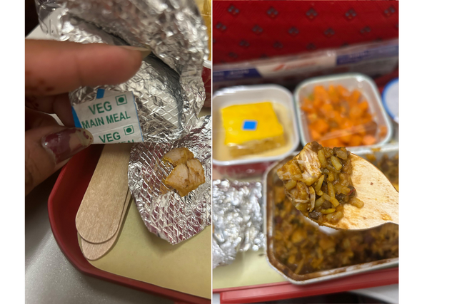 <p>Passenger outraged after airline serves her non-veg meal  </p>