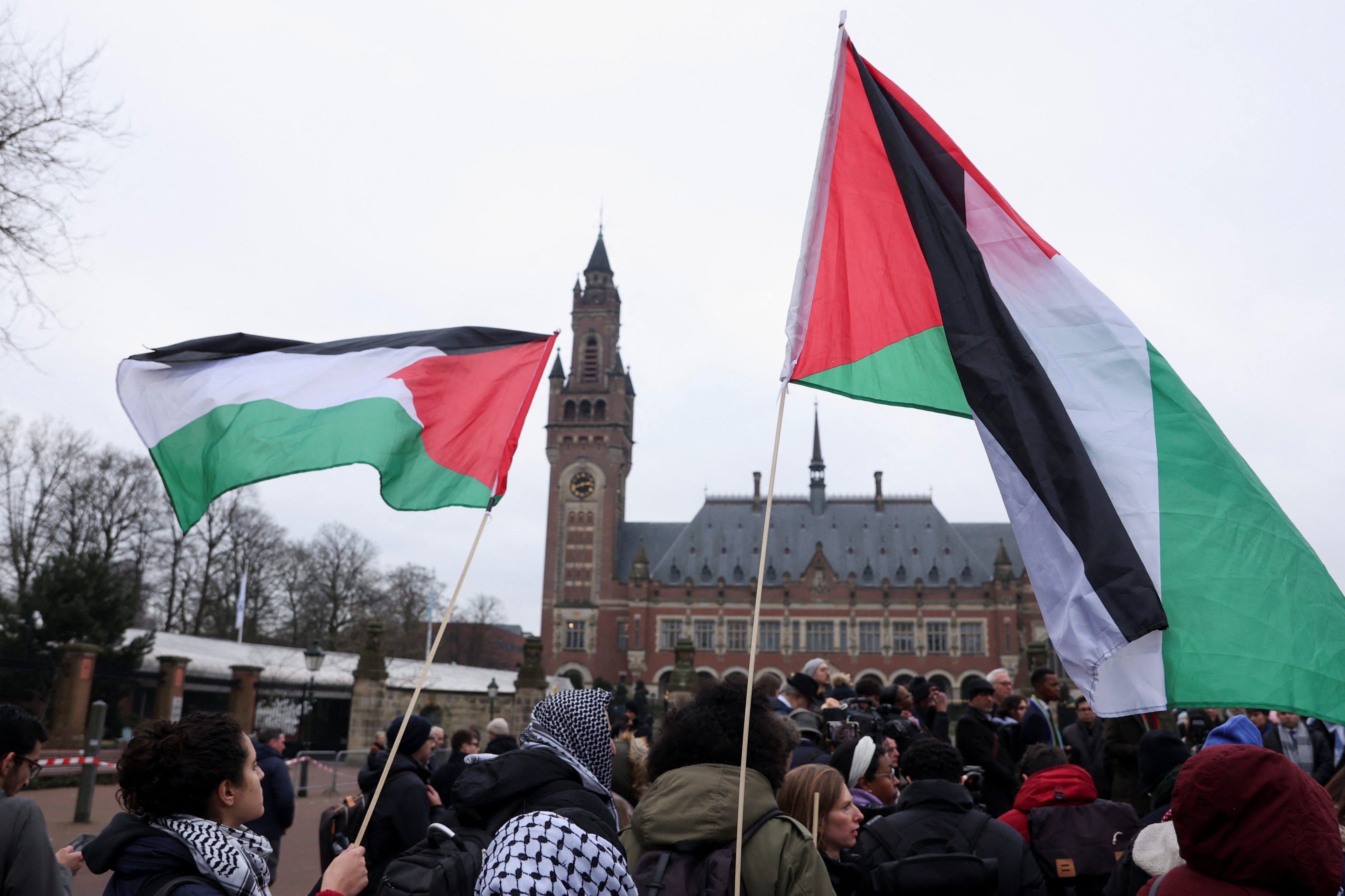 Pro-Palestinian demonstrators at The Hague