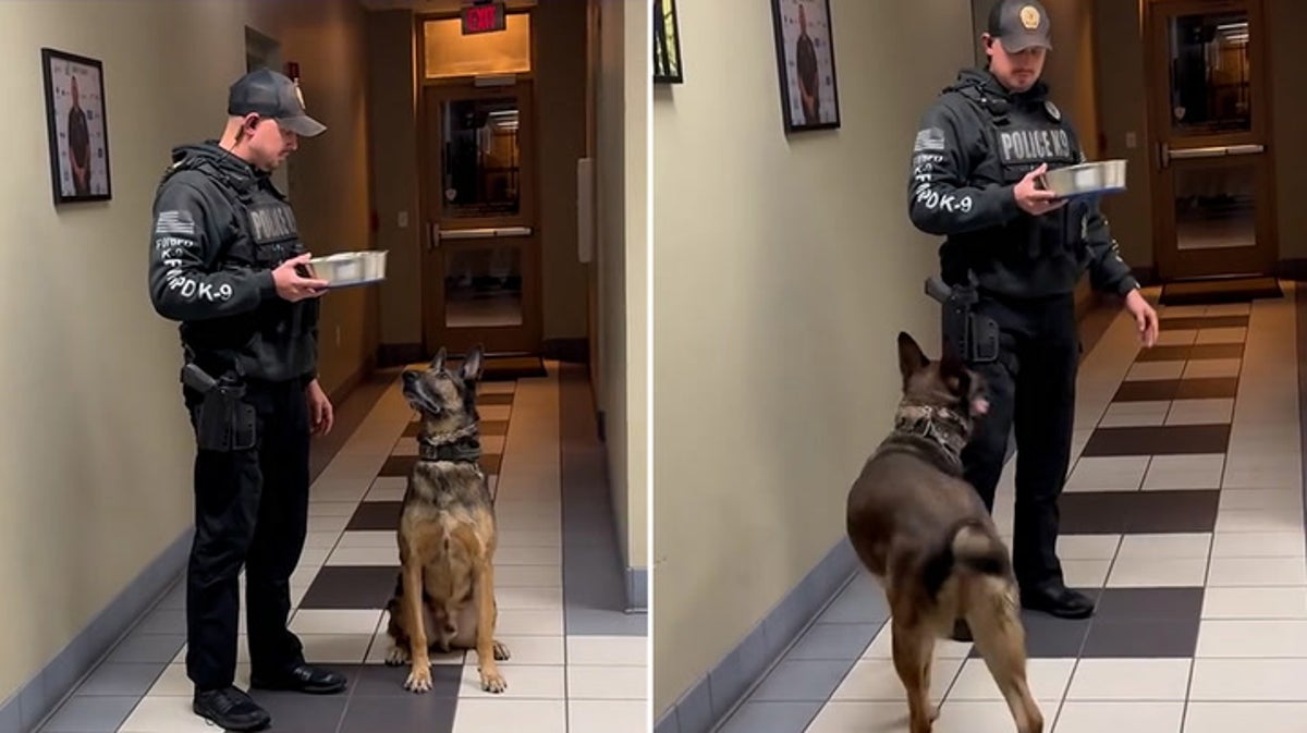 Police K9 presented with special snack during heartwarming send off