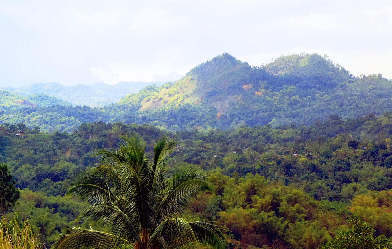 On a particularly clear day, you may even be able to spot Cuba from the top of Blue Mountain Peak